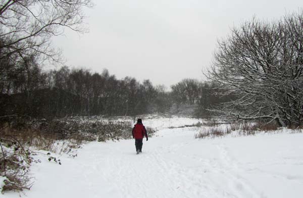 A walker in the snow on the Rea Valley path