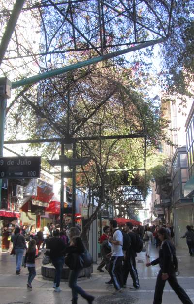 A shopping arcade covered with flowering bushes