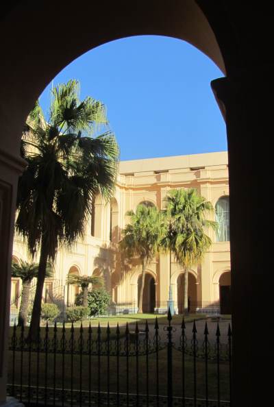 Palm trees in a courtyard viewed through an arch