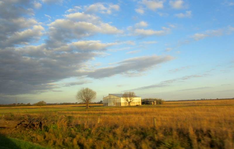A farm building in an open landscape in evening sunshine