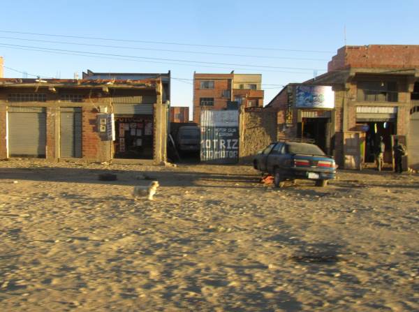 A dog, a car on bricks and a run-down street scene