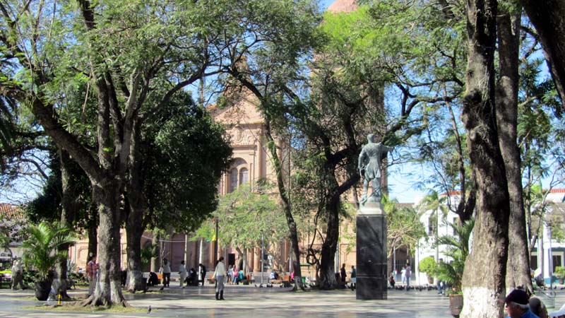 A cathedral viewed through trees in a city square