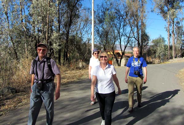 Out for a walk on a country road