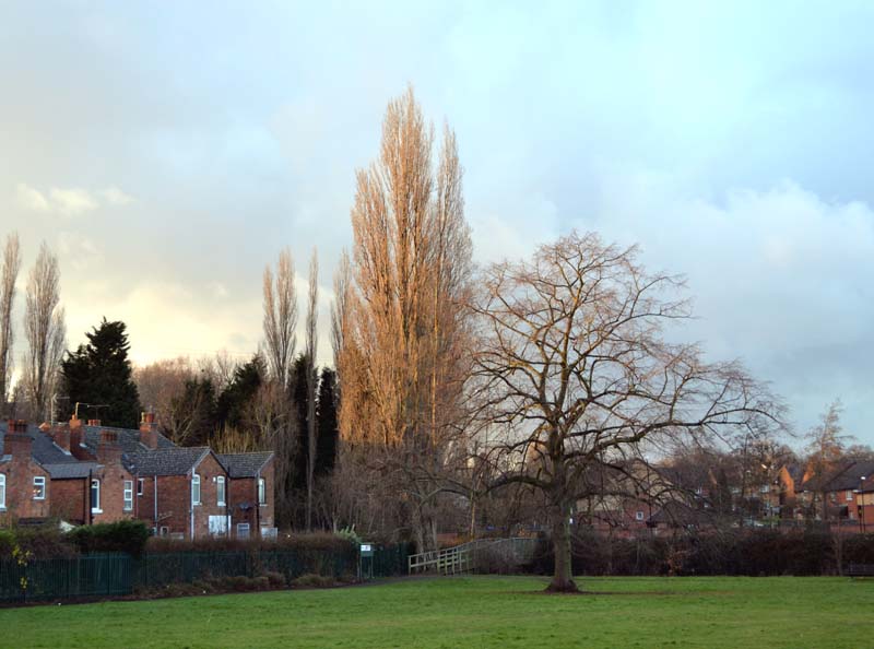 Entrance to Stirchley Park via the footbridge over the River Bourne