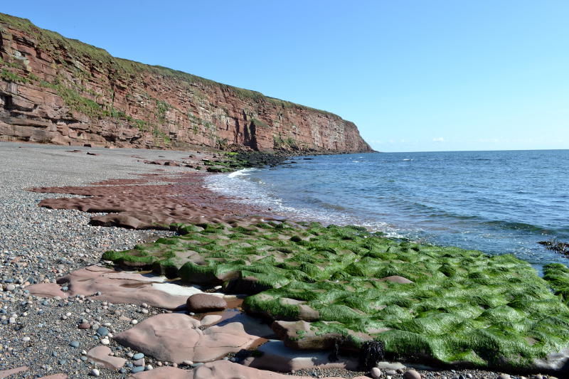 Cliffs, eroded rocks and seaweed