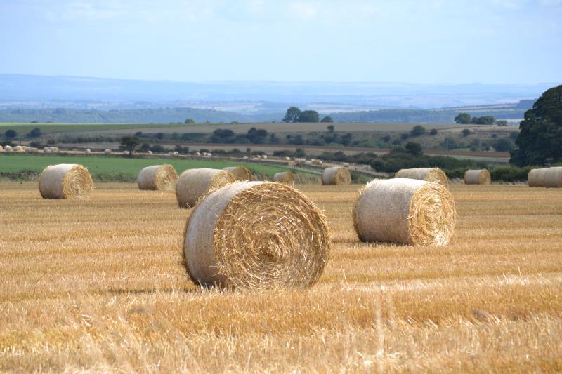 Farm near Rievaulx at harvest time