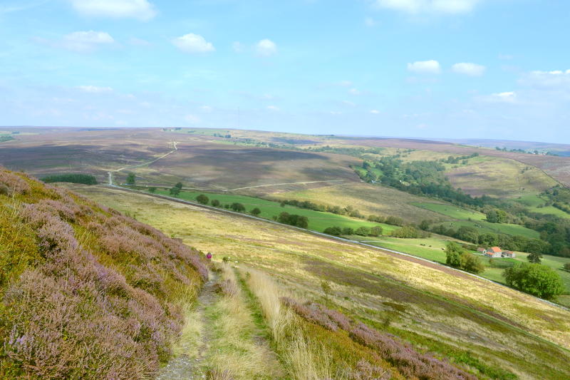 Bilsdale from Hawnby Hill