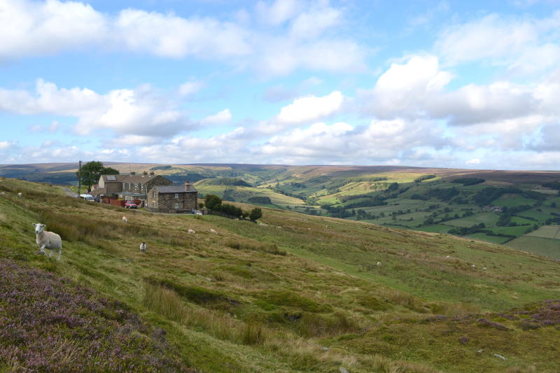 Country view from Rosedale Bank Top
