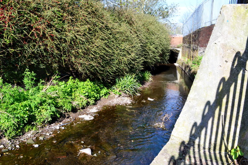 The River Bourn flows past Stirchley Park then under the Co-op car park