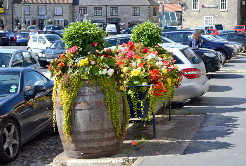 Flower tub at Thirsk