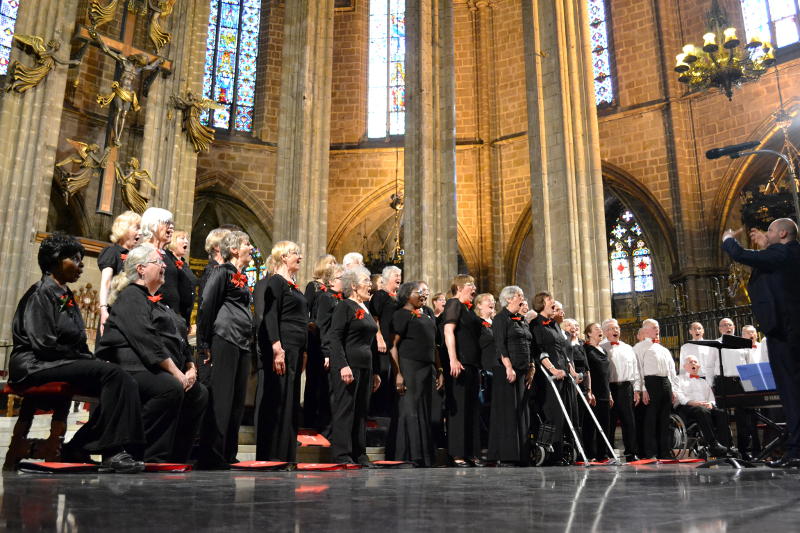 The choir singing during the concert