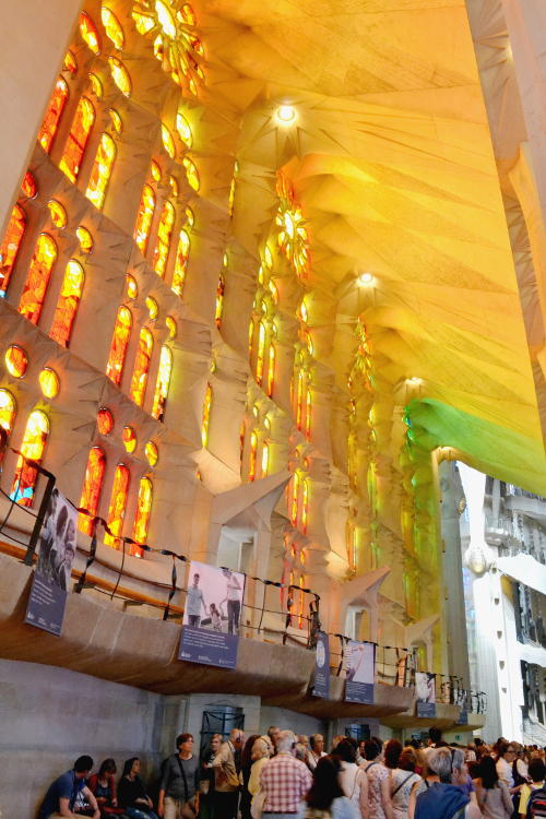 An aisle filled with colour from the stained glass windows