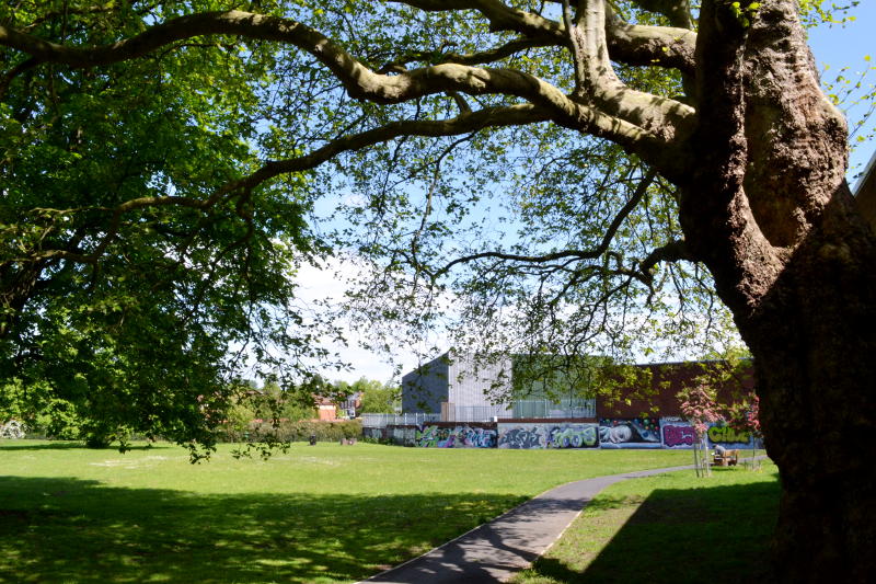 Stirchley Park through the trees