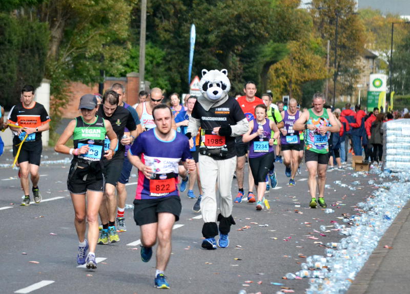 A raccoon costume