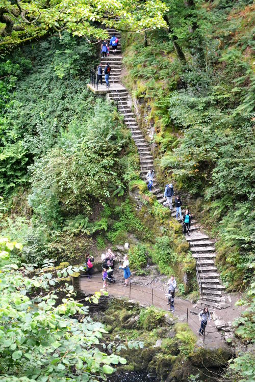 Flights of steps up a hillside