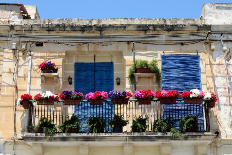 Flowers on a balcony