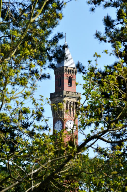 A clock tower seen through a gap in the trees