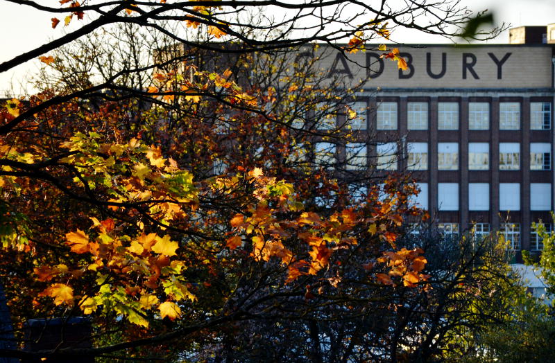 Autumn leaves in front of the Cadbury factory