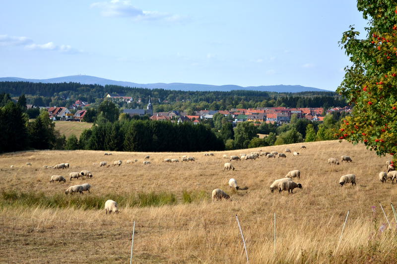 A view across fields