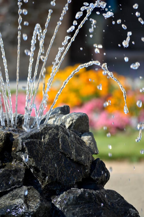 A small fountain with flowers in the background
