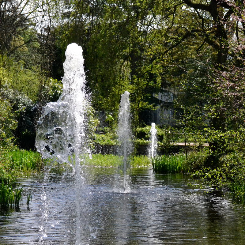 A line of fountains in a lake