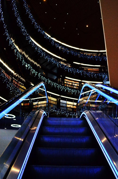 Approaching the top of the escalator to reach illuminated bookshelves