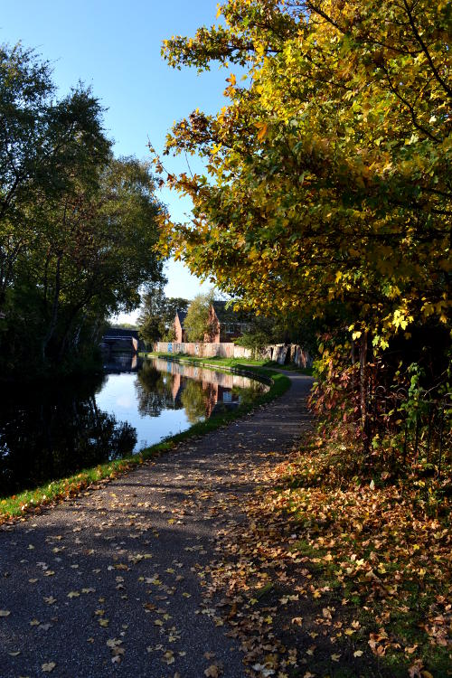 Autumn leaves along the towpath