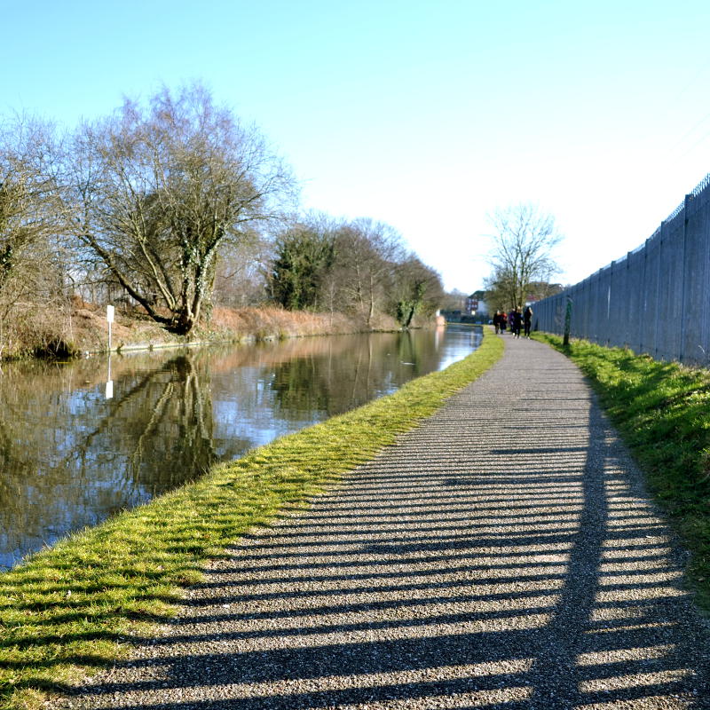 The sun shines through a metal fence alongside the towpath