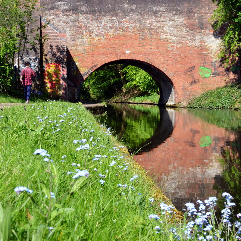 Spring flowers on the grassy bank with a bridge in the background