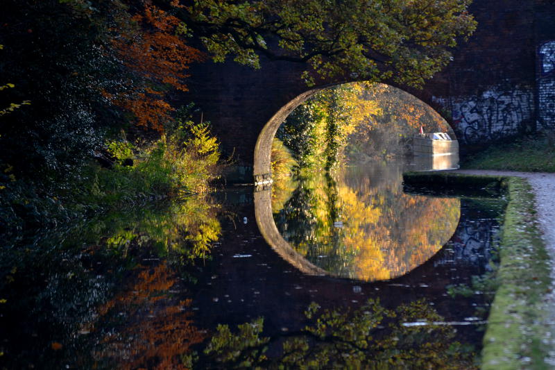 Autumn bushes through a canal bridge, with reflections in the water