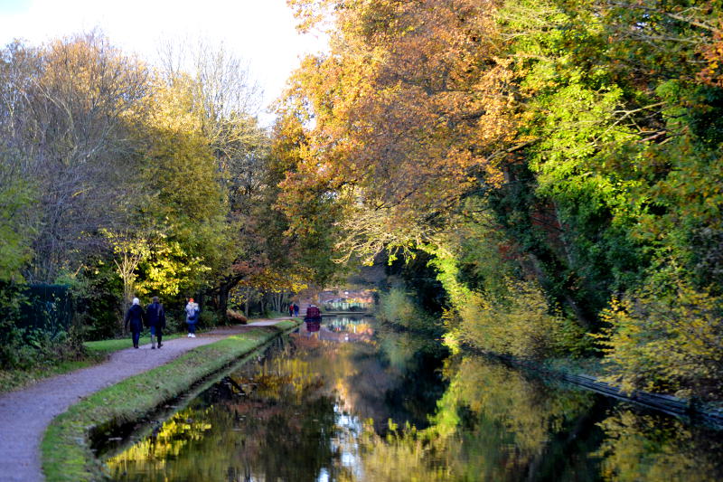 Autumn trees alongside the canal