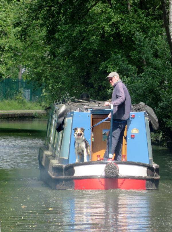 A dog and man by the tiller of a canal boat