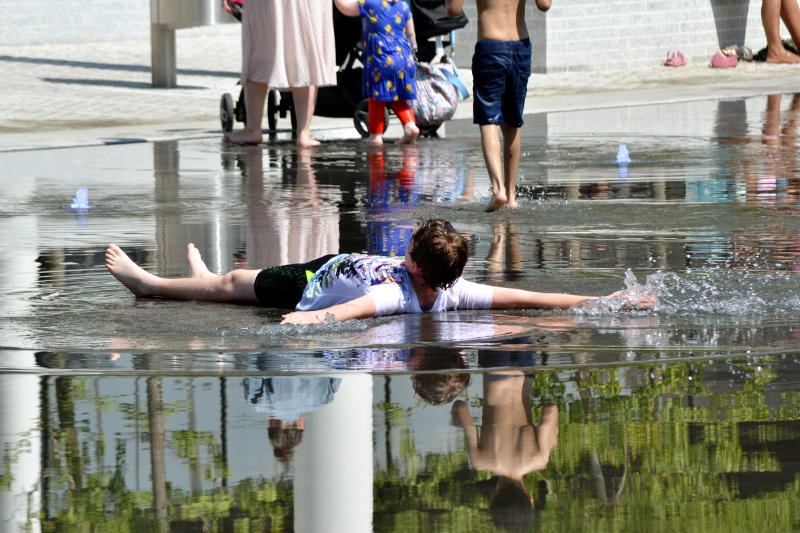 Lying down to keep cool in a shallow pool of water