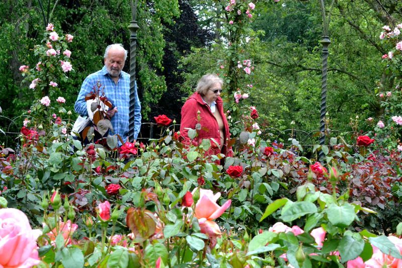 Miriam and her brother in the rose garden at Blenheim Palace