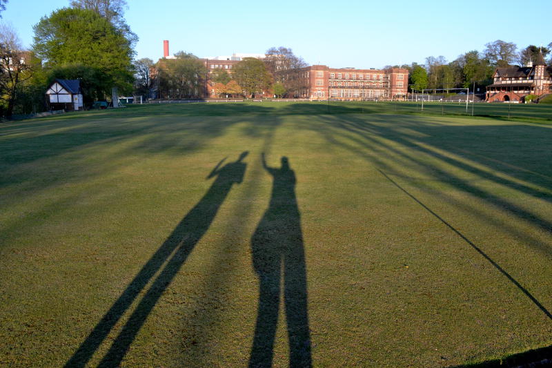 Two long human shadows in evening sunshine