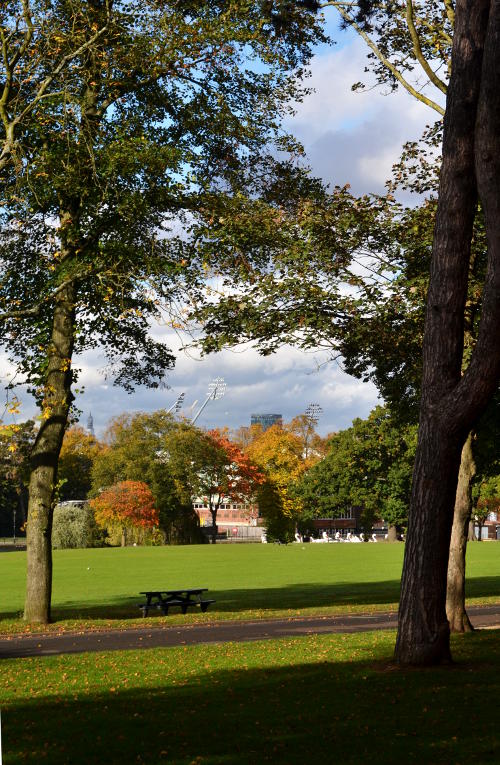 Autumn trees in Cannon Hill Park