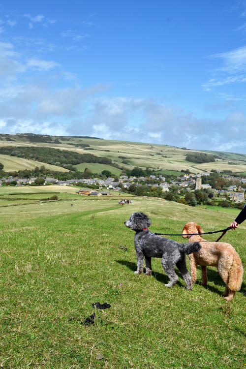 View of Abbotsbury from St Catherine's Hill