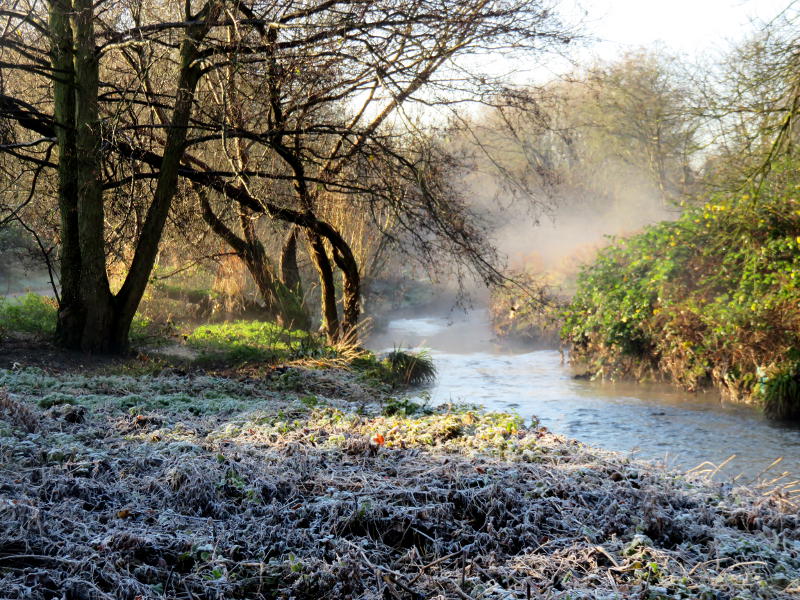 Frosty grass, mist over the river and a tree in sunshine