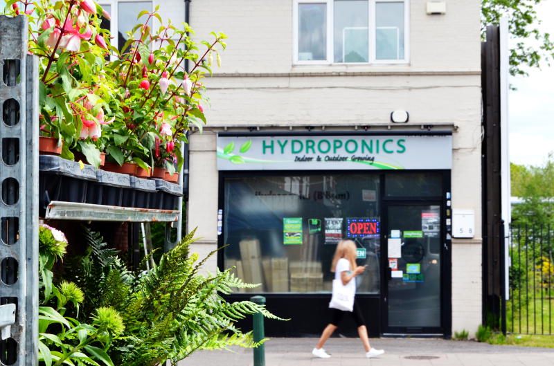 A hydroponics shop across the road from shelves of flowering plants