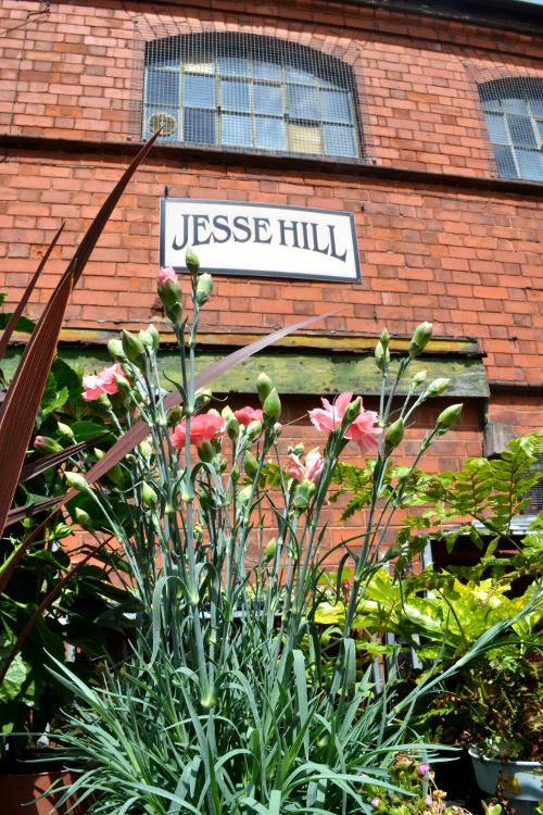 Flowering plants in front of a Jesse Hill sign