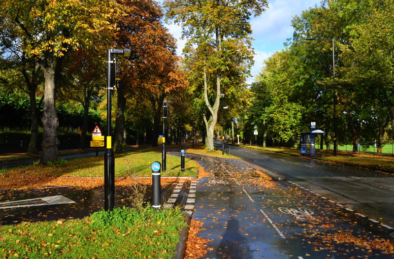 The blue cycle route through autumn trees