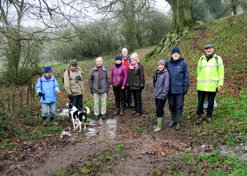 A group on a muddy walk