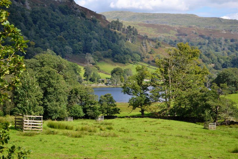 Looking down on Rydal Water surrounded by grass and wooded hills