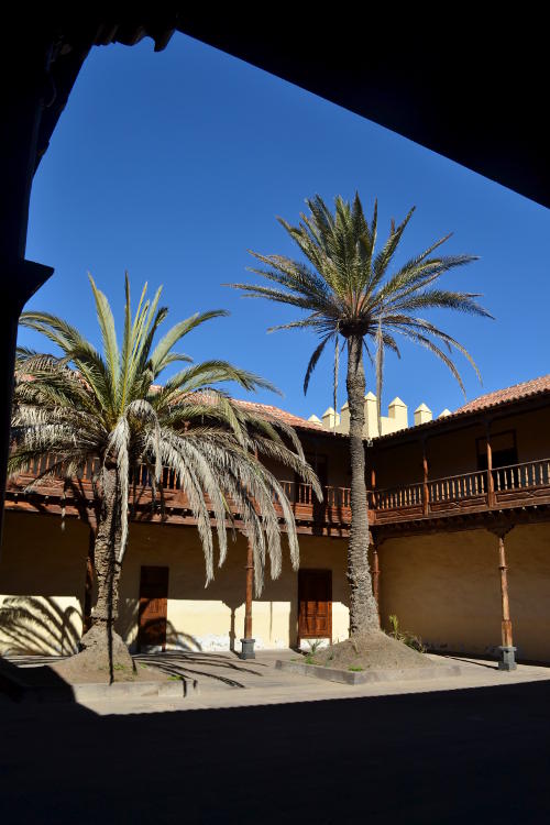 The courtyard of the Casa de los Coroneles, with two palm trees