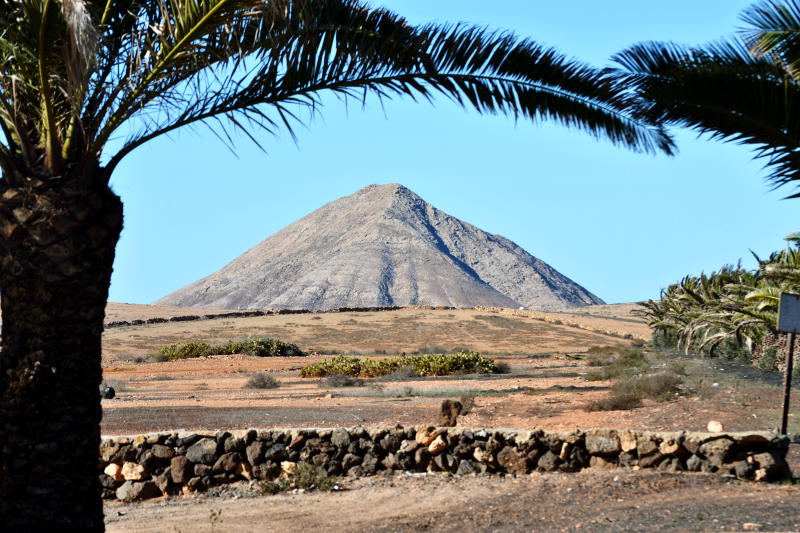 Volcanic mountain behind a palm tree