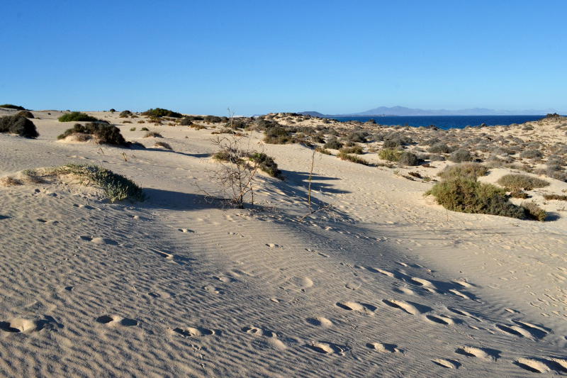 Sand dunes with footprints