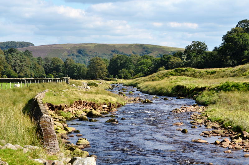 A river running through open countryside