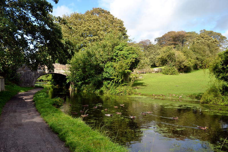 A bridge over the Lancaster Canal, and fields on the opposite bank