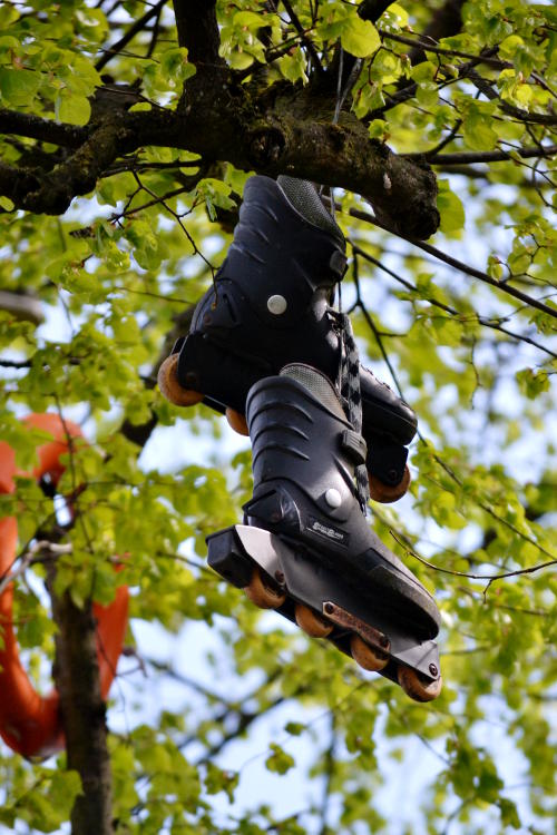 A pair of roller blades hanging in a tree