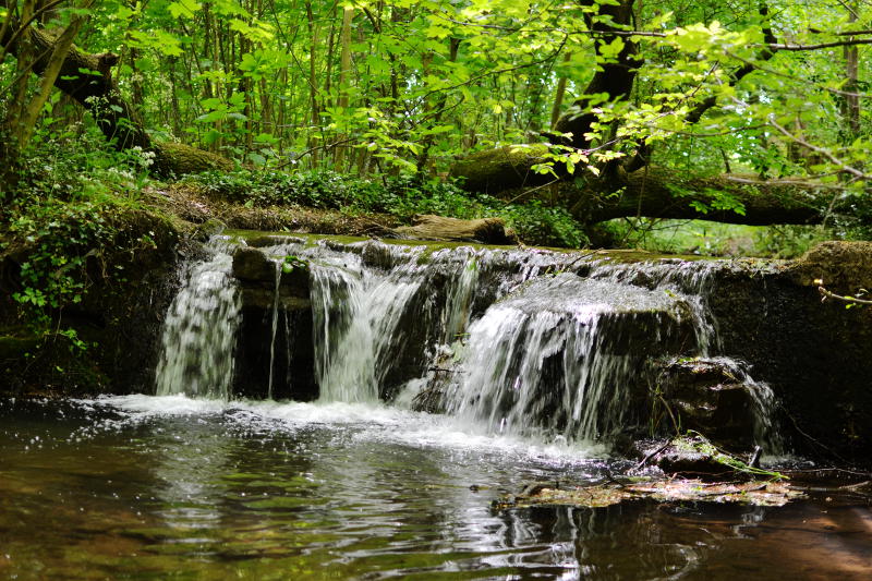 A small waterfall on Merritts Brook